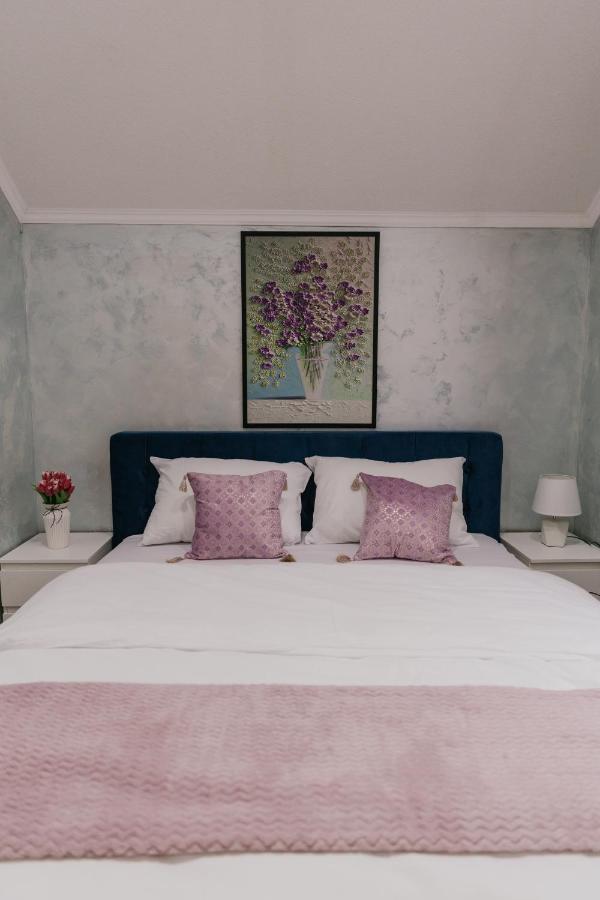 Sunrise Riverside House Celarevo 외부 사진