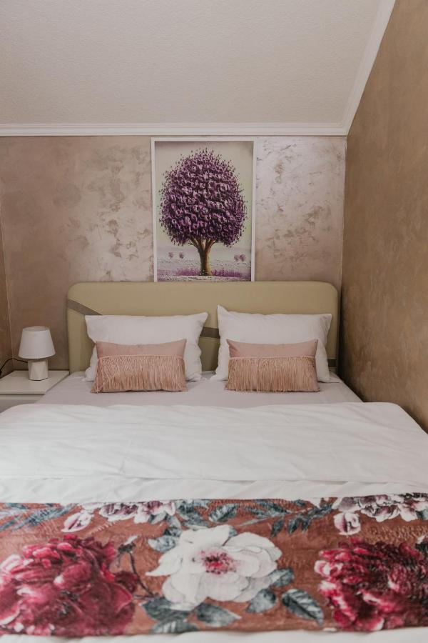 Sunrise Riverside House Celarevo 외부 사진